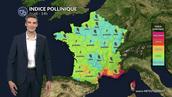 Pollens et allergies : la pluie offre un répit sur une grande partie du pays en ce jeudi de l'Ascension