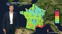 Pollens et allergies : la pluie offre un répit sur une grande partie du pays en ce jeudi de l'Ascension