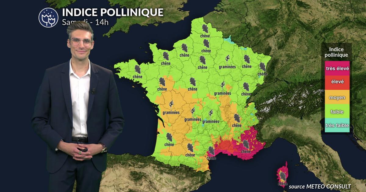 Pollens et allergies ce samedi : risque maximal dans le sud-est sous l’effet du vent, répit relatif au nord grâce aux averses
