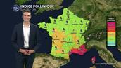 Pollens et allergies ce samedi : risque maximal dans le sud-est sous l’effet du vent, répit relatif au nord grâce aux averses