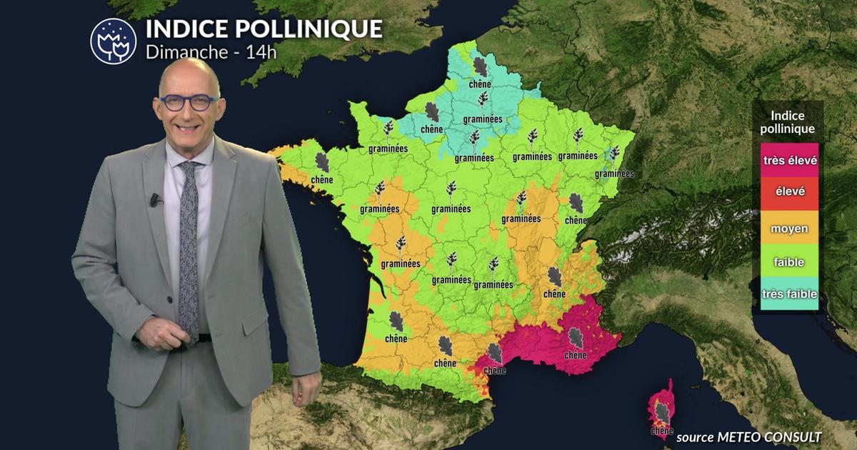 Pollens et allergies ce dimanche : la pluie limite le risque à l’ouest, vigilance près de la Méditerranée