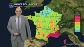 Pollens et allergies dimanche : la pluie limite le risque à l’ouest, vigilance près de la Méditerranée