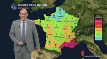 Pollens et allergies dimanche : la pluie limite le risque à l’ouest, vigilance près de la Méditerranée