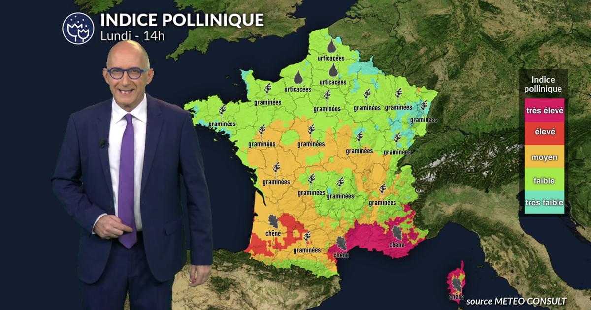 Pollens et allergies : un lundi frais et humide qui limite globalement les pollens, sauf près de la Méditerranée.