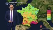 Pollens et allergies : un lundi frais et humide qui limite globalement les pollens, sauf près de la Méditerranée.
