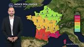 Alerte pollens cyprès : risque maximal dans le Sud avec un vent de sud-ouest chaud