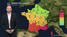 Alerte pollens cyprès : risque maximal dans le Sud avec un vent de sud-ouest chaud