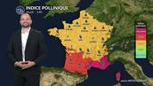 Chaleur exceptionnelle et pic de chêne : alerte rouge aux pollens dans le Sud