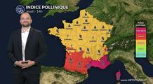 Chaleur exceptionnelle et pic de chêne : alerte rouge aux pollens dans le Sud