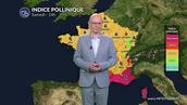 Pollens et allergies pour samedi : alerte rouge pollens dans le Sud et l'Ouest : le cyprès et la chaleur font exploser les compteurs