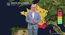 Pollens et allergies : alerte rouge pollens dans le Sud et l'Ouest : le cyprès et la chaleur font exploser les compteurs