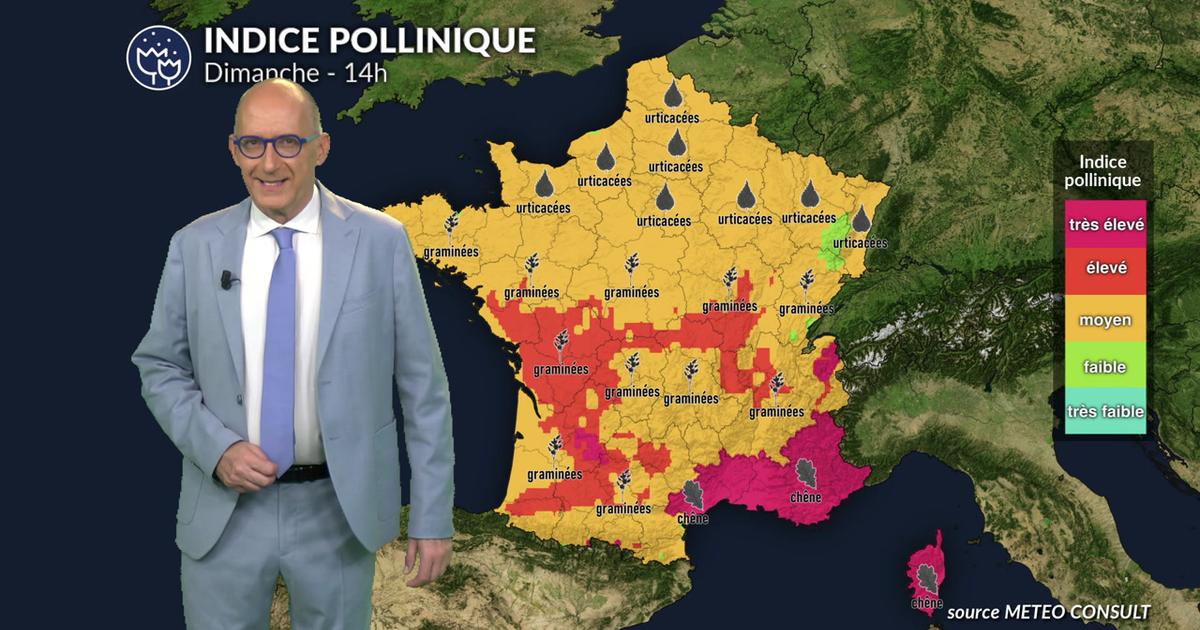 Pollens et allergies dimanche : la chaleur précoce intensifie le risque allergique sur une grande partie de la France ce dimanche