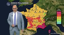Pollens et allergies dimanche : la chaleur précoce intensifie le risque allergique sur une grande partie de la France ce dimanche
