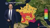 Pollens et allergies lundi : les pollens favorisés par la vague de chaleur