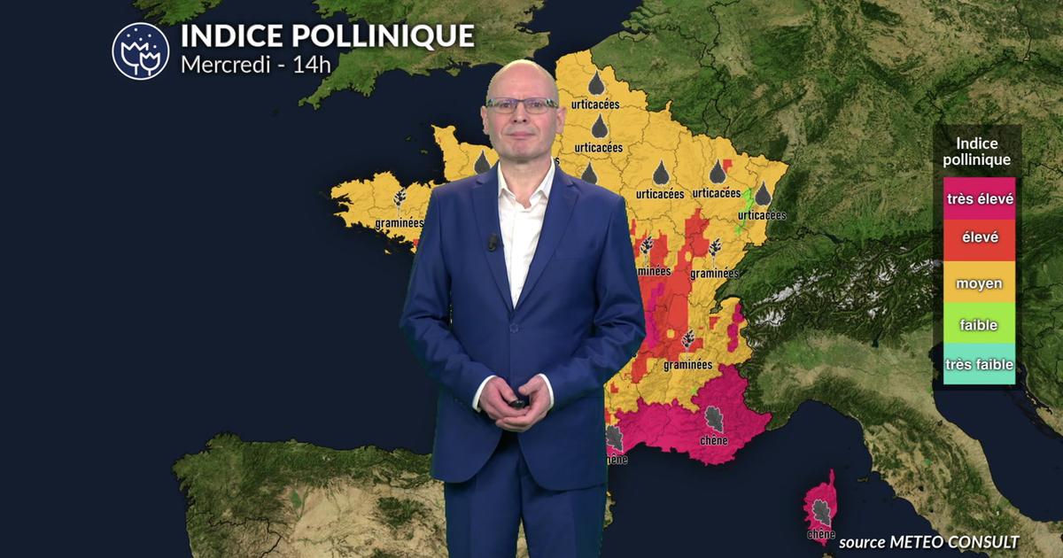 Bulletin pour mercredi : canicule et ozone aggravent le pic allergique sur la France