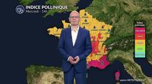 Bulletin pour mercredi : canicule et ozone aggravent le pic allergique sur la France