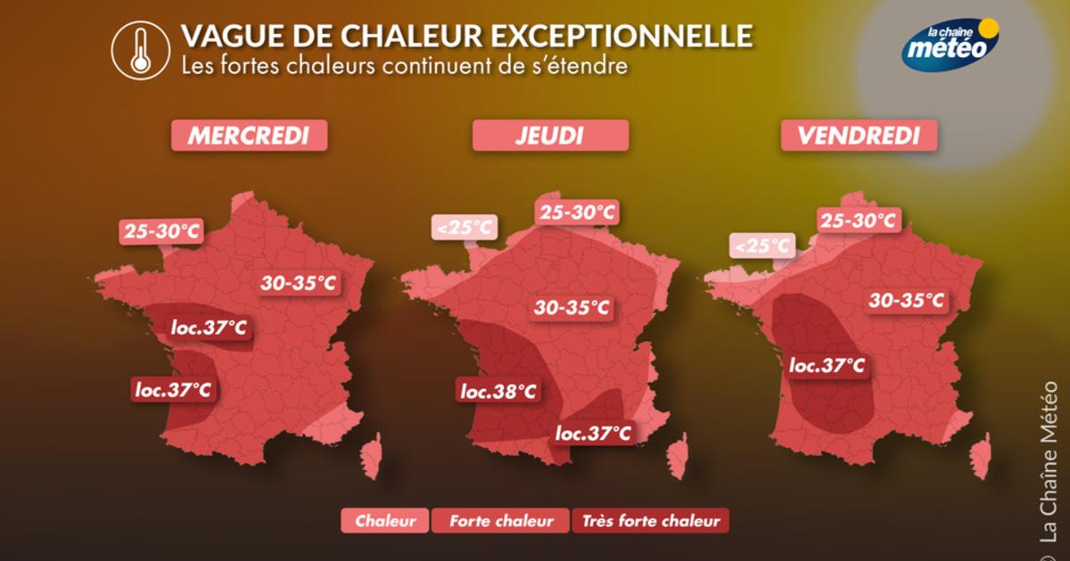 Canicule : la vague de chaleur au jour le jour en France
