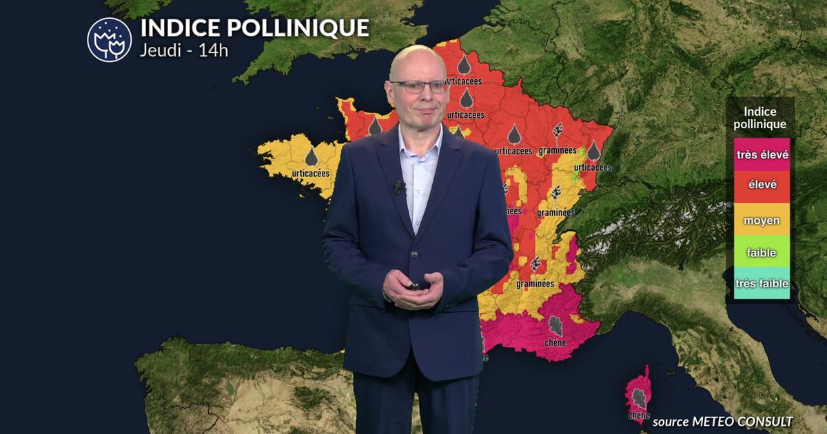 Canicule et pic allergique majeur : graminées et cyprès saturent l'air du sud et de l'ouest