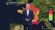 Canicule et pic allergique majeur : graminées et cyprès saturent l'air du sud et de l'ouest