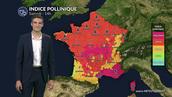 Pollens et allergies ce samedi : pic pollinique aux graminées et aux urticacées dans de nombreuses régions
