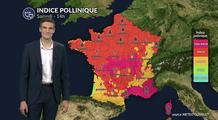 Pollens et allergies ce samedi : pic pollinique aux graminées et aux urticacées dans de nombreuses régions