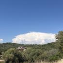 Olmeto 29/05/2026