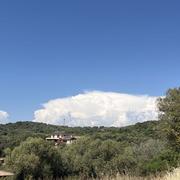 Olmeto 29/05/2026