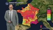 Pollens et allergies : les graminées restent sous surveillance malgré la fin de la vague de chaleur ce dimanche 31 mai