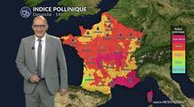 Pollens et allergies : les graminées restent sous surveillance malgré la fin de la vague de chaleur ce dimanche 31 mai