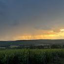 Celles-sur-Ource 31/05/2026