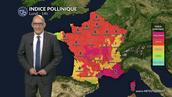 Pollens et allergies : les graminées restent sous surveillance avec le retour d’un temps estival lundi