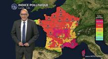 Pollens et allergies : les graminées restent sous surveillance avec le retour d’un temps estival lundi