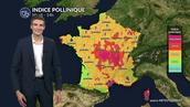 Pollens et allergies ce mardi : un risque allergique encore élevé avant l’arrivée des pluies et des orages
