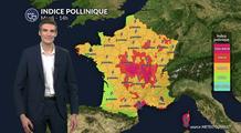 Pollens et allergies ce mardi : un risque allergique encore élevé avant l’arrivée des pluies et des orages