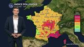 Pollens et allergies ce mercredi : pic pollinique majeur dans le centre et le sud, les graminées au plus haut