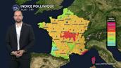Pollen et allergies : soulagement attendu jeudi après un pic de graminées et de cyprès dans le Sud