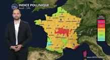 Pollen et allergies : soulagement attendu jeudi après un pic de graminées et de cyprès dans le Sud