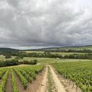 Celles-sur-Ource 04/06/2026