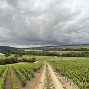 Celles-sur-Ource 04/06/2026