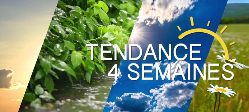  Tendance météo à 4 semaines (début Juin à début Juillet)