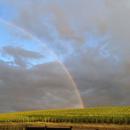 Celles-sur-Ource 04/06/2026