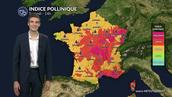 Pollens et allergies : les graminées au plus haut, le risque pollinique repart à la hausse ce samedi