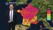 Pollens et allergies : les graminées restent sous surveillance malgré le retour du soleil ce dimanche 7 juin