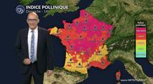 Pollens et allergies : les graminées restent sous surveillance malgré le retour du soleil ce dimanche 7 juin