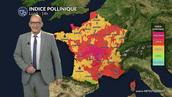 Pollens et allergies : les pluie et les orages de lundi vont-ils soulager les allergiques ?