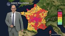 Pollens et allergies : les pluie et les orages de lundi vont-ils soulager les allergiques ?