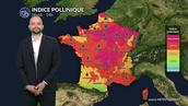 Pollens et allergies : pourquoi les allergies restent au plus haut malgré un temps plus frais ?