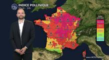 Pollens et allergies : pourquoi les allergies restent au plus haut malgré un temps plus frais ?