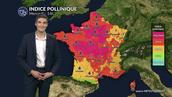 Pollens et allergies : graminées et urticacées dominent l'atmosphère sur une grande partie du pays ce mercredi