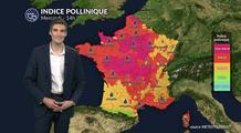 Pollens et allergies : graminées et urticacées dominent l'atmosphère sur une grande partie du pays ce mercredi